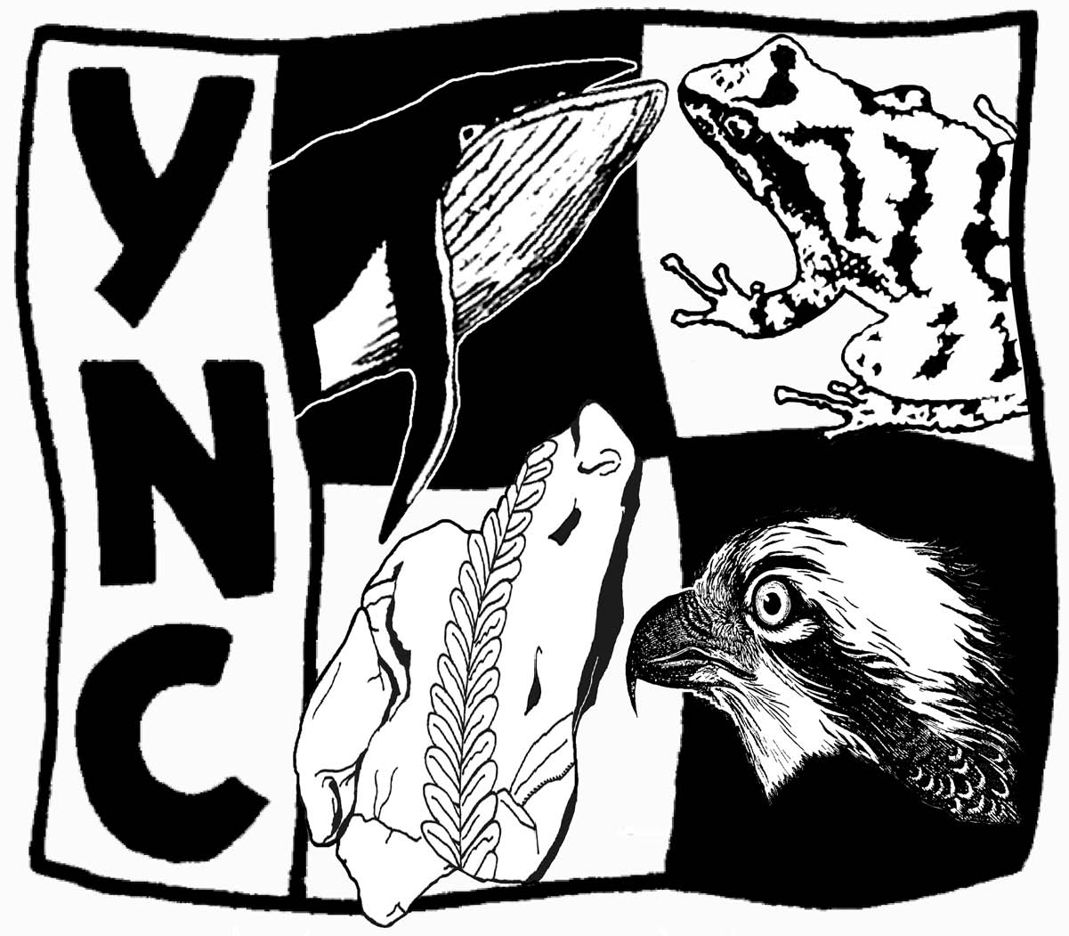 Charity logo